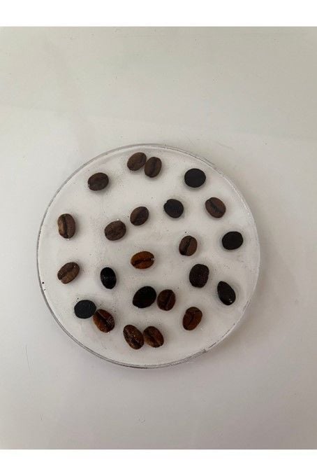 Epoksi Bardak Altlığı Gerçek Kahve Çekirdekli (1 Adet)