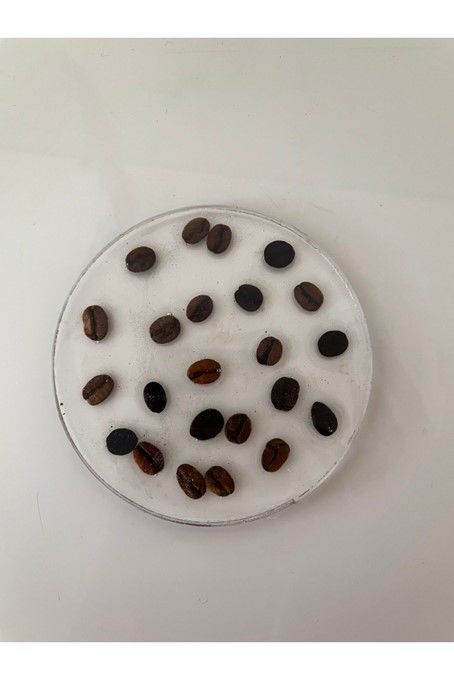 Epoksi Bardak Altlığı Gerçek Kahve Çekirdekli (1 Adet)